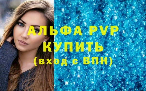 спиды Богданович