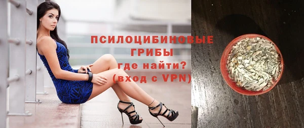 спиды Богданович