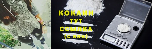 спиды Богданович