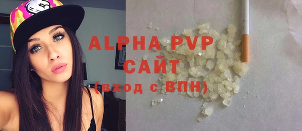 спиды Богданович
