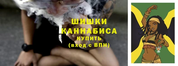 PSILOCYBIN Богородск