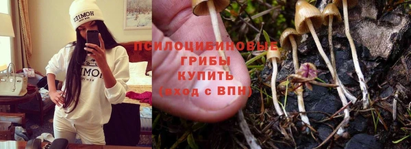 спиды Богданович