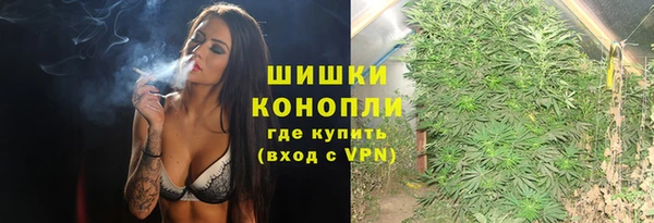 PSILOCYBIN Богородск