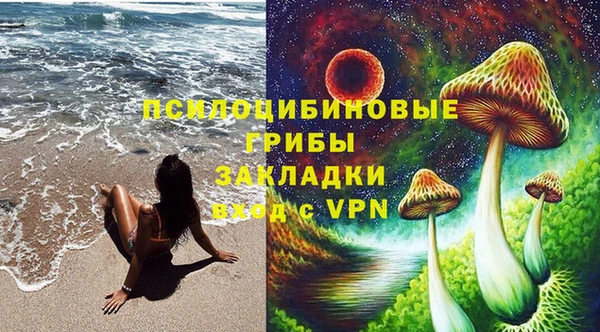 PSILOCYBIN Богородск